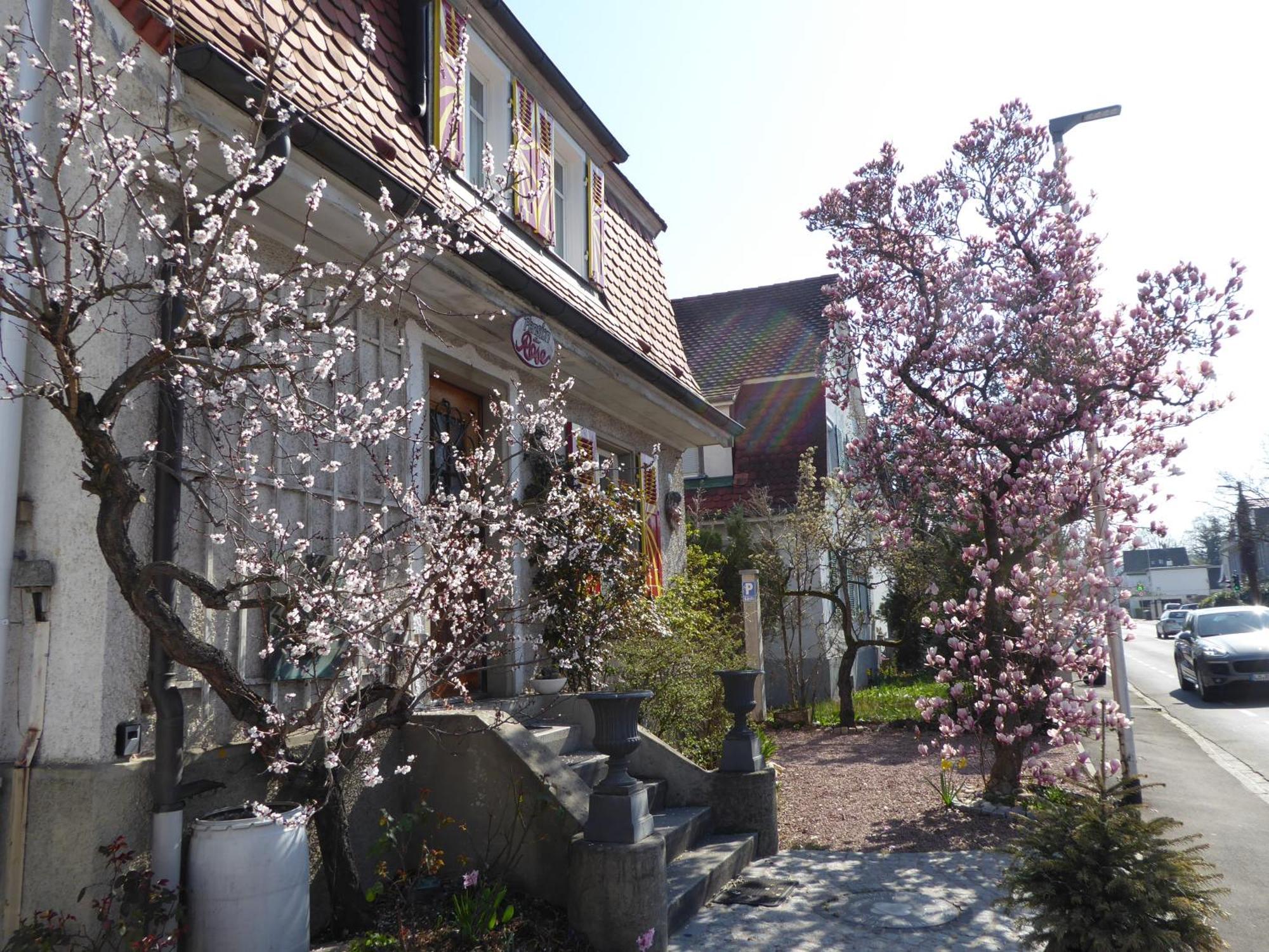 Pension Zur Rose Weil am Rhein Bagian luar foto