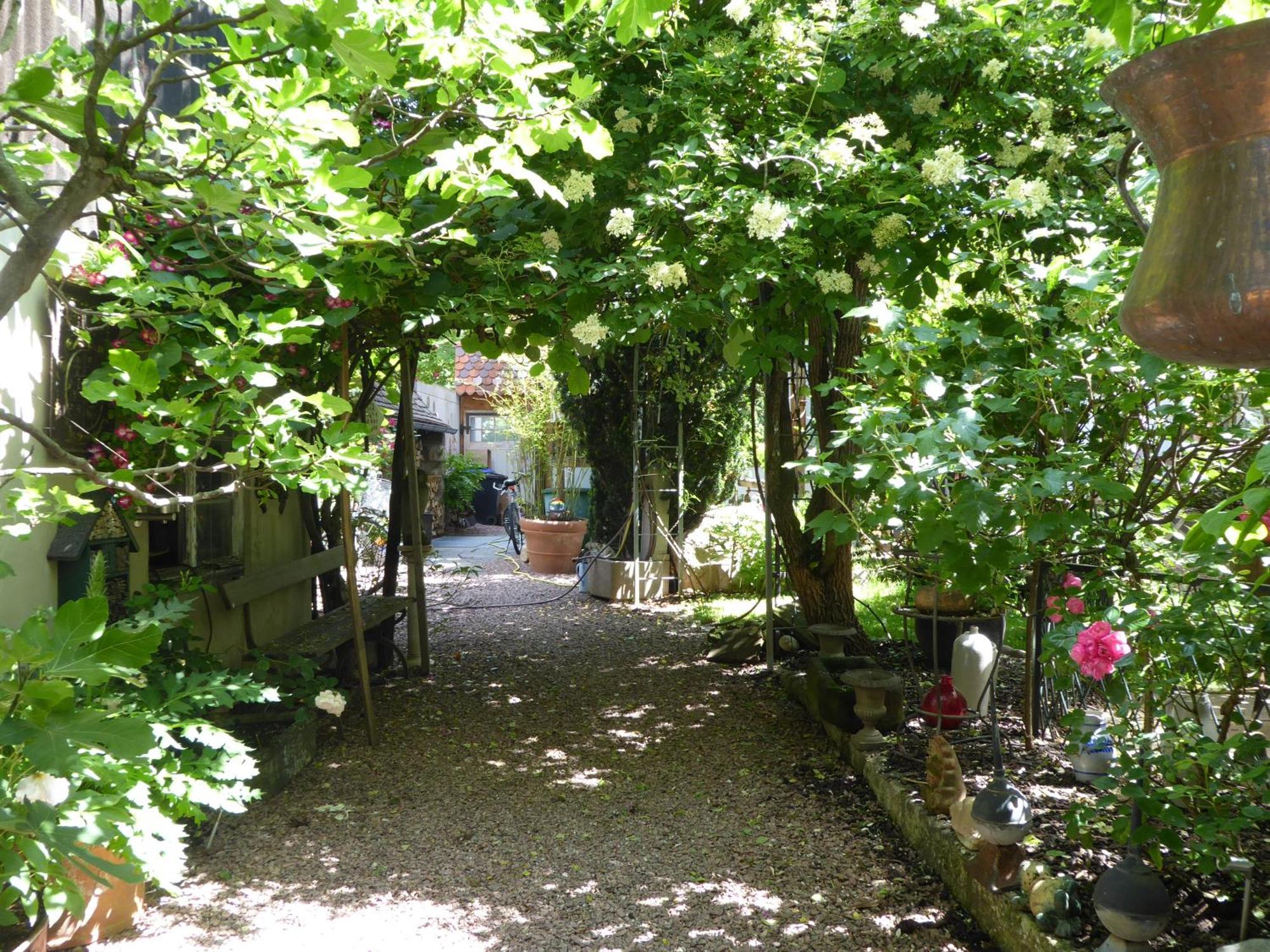 Pension Zur Rose Weil am Rhein Bagian luar foto